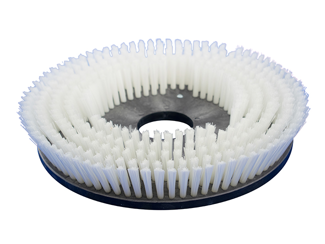 Produktbild Tellerbürste - Ø 255 mm für Floorpul Ruby 55