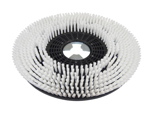 Produktbild Schrubbbürste - Ø 480 mm für Hasko H 225 DX