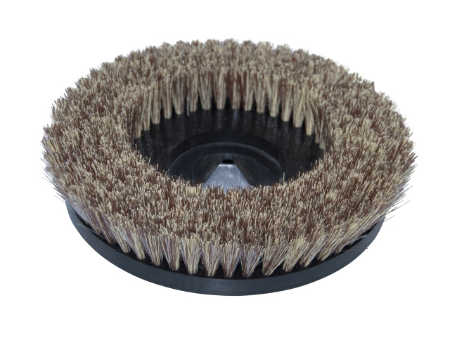 Produktbild Tellerbürste - Ø 275 mm für Wetrok Duomatic 550