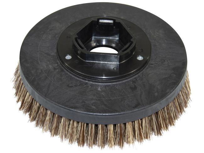 Produktbild Reinigungsbürste - Ø 265 mm für Taski Swingo 1255 B, 2 Teller