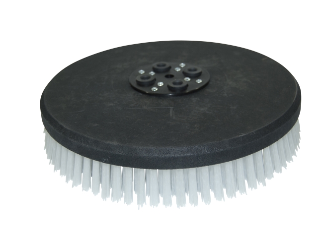 Produktbild Tellerbürste - Ø 255 mm für Cimex Eagle EB 600