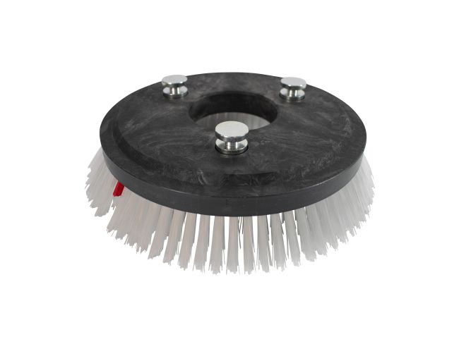 Produktbild Tellerbürste - Ø 250/275 mm - PP (Polypropylen) 0,70 mm