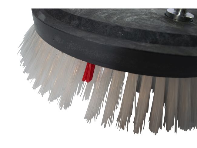 Produktbild Tellerbürste - Ø 250/275 mm - PP (Polypropylen) 0,70 mm