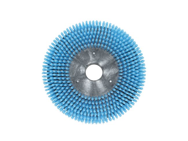 Produktbild Shampoonierbürste - Ø 320 mm für Comac Media 65