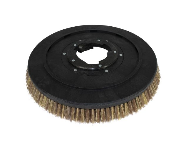 Produktbild Tellerbürste - Ø 410 mm für Numatic BMD 1000 – H/M/S 450