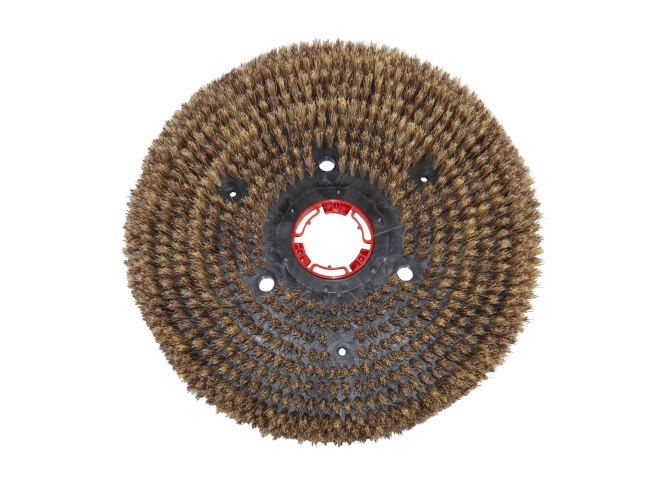 Produktbild Tellerbürste - Ø 530 mm - PP (Polypropylen) 0,30 mm