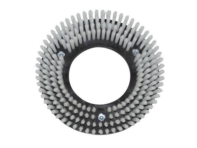 Produktbild Schrubbbürste - Ø 275 mm für Comac C 100 BS (ab Baujahr 94)