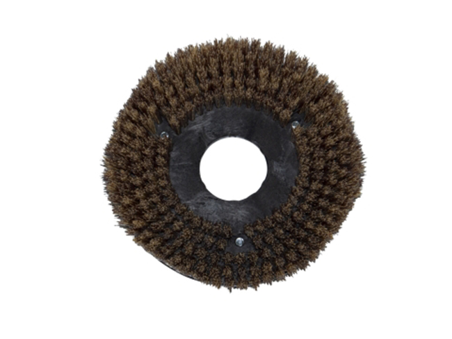 Produktbild Tellerbürste - Ø 200 mm für Portotecnica B 40