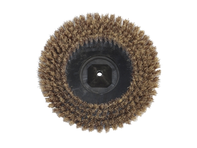 Produktbild Tellerbürste - Ø 275 mm für Wetrok Duomatic 550