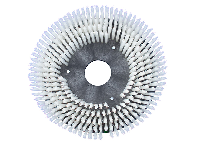 Produktbild Tellerbürste - Ø 255 mm für Floorpul Ruby 55
