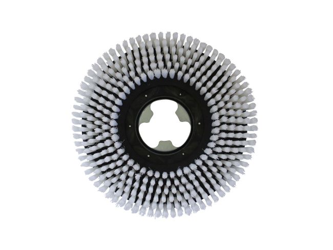 Produktbild Tellerbürste - Ø 350 mm für Comac Vispa 35 B + E